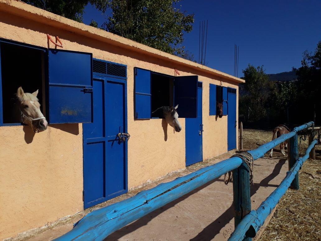 Le Vallon Vert - Club Equestre Azrou Exterior foto